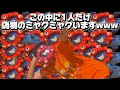 ミャクミャク本人(俺)が大阪万博で暴れてみた!【大阪万博blog】