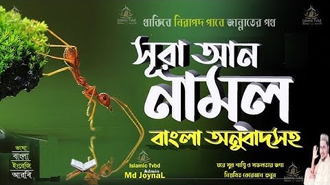 সূরা নমল Surah An Naml سورة النمل পিপীলিকা বাংলা অনুবাদ সহ Islamic Tvbd