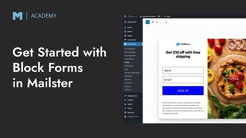 Get Started with Forms in Mailster