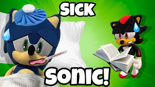 Sick Sonic! | A Sonic and Shadow Plush Video