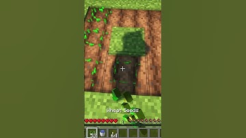 Using Minecraft to do my Homework