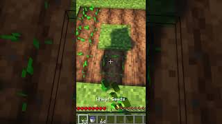 Using Minecraft to do my Homework