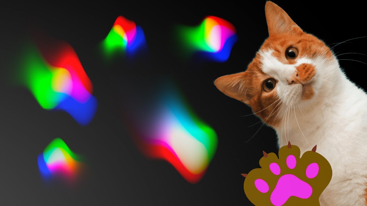 JUEGO PARA GATOS Atrapar luces laser varios colores! VIDEO Y
