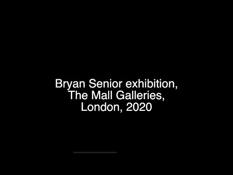 Bryan Senior exhibition, The Mall Galleries, London, 2020
