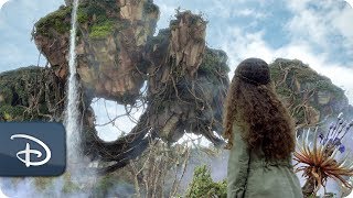 Pandora - The World Of Avatar Disneys Animal Kingdom
