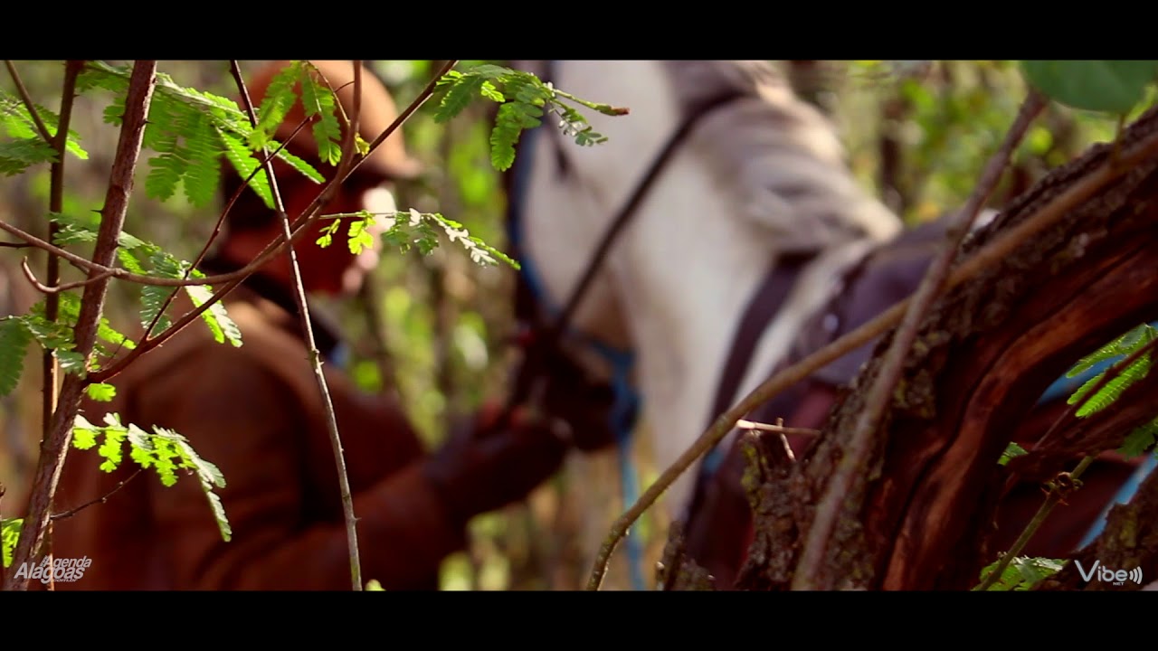 Pega de Boi no Mato - Minador do Negrão/AL - Cultura Nordestina FULL HD