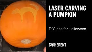 Coherent | How to Carve a Halloween Pumpkin with a Laser