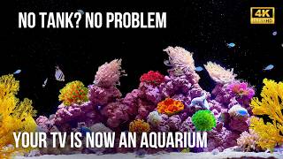 🐠 Peaceful Aquarium 4K Emerald Ocean | 12 Hour Fish Tank with Coral Gardens & Natural Water Sounds