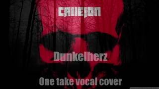 Callejon - Dunkelherz (One Take Vocal Cover)