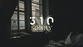 510 - Sorry | Lirik lagu
