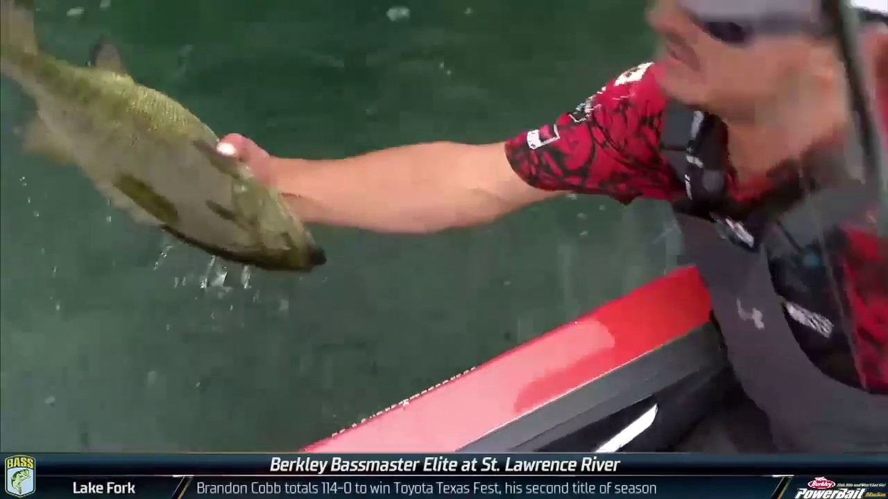 bass fishing at night Big Smallmouth and fast action on Final Day at the St. Lawrence River