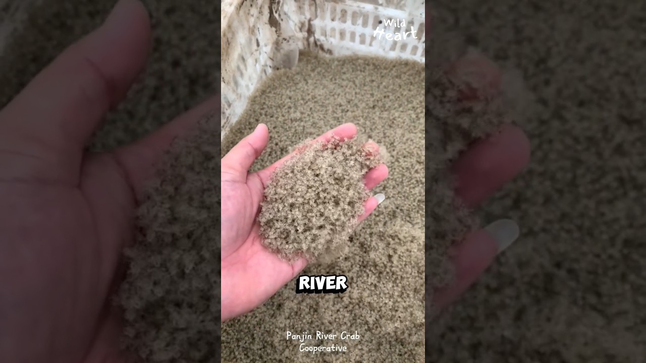 Crab Army as Natural Herbicide