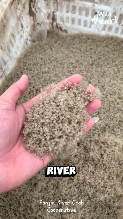 Crab Army as Natural Herbicide