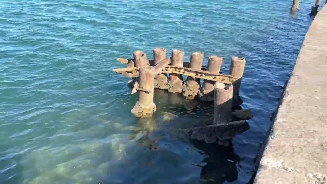 静岡県の釣り場MAP － 浜名湖 舞阪網干場〈浜松市〉 | フィッシング遊