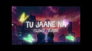 Jaane na tu [slowed reverb] trending song #trending #viral #song #alookhaoge 
