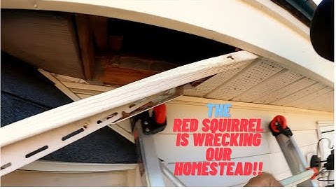 Can You Outsmart Maine