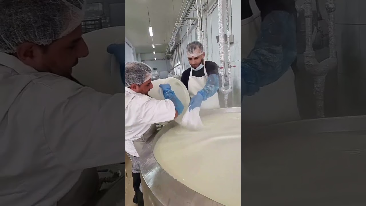 شاهدوا كيف يتم صنع جبنة الدوبل كريم بأسهل واسرع طريقة