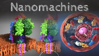 La physique des nanomachines biologiques - Passe-science #37