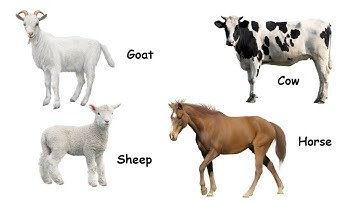 Class 1, General Knowledge, Page No 8, Part 2 by Pinky Mol