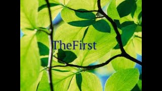 Открытие клана TheFirst | mc.REALLYWORLD.ru | GRIEF-1 от привилегии Magister