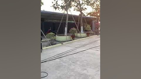 Loa Array DAVS 30 đơn 2 treble