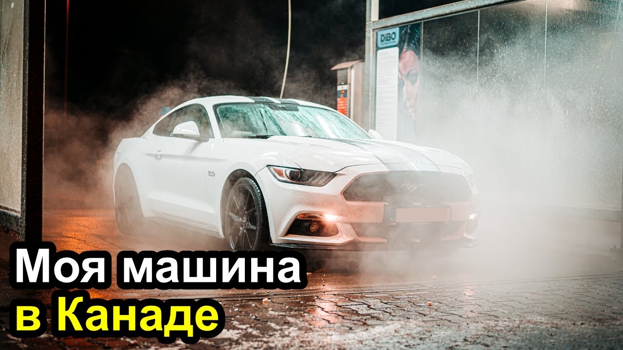 Papa грузия авто
