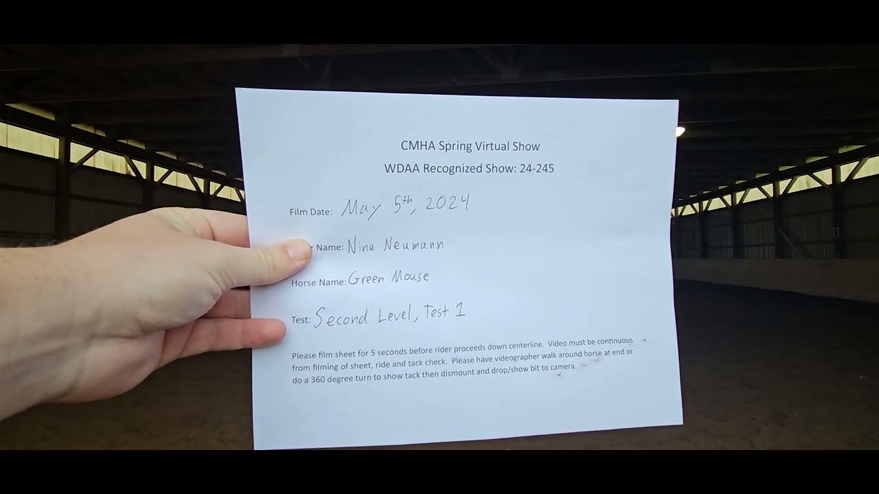 Nina Neumann Green Mouse Second Level Test 1 YouTube Nina neumann green mouse second level test 1 youtube