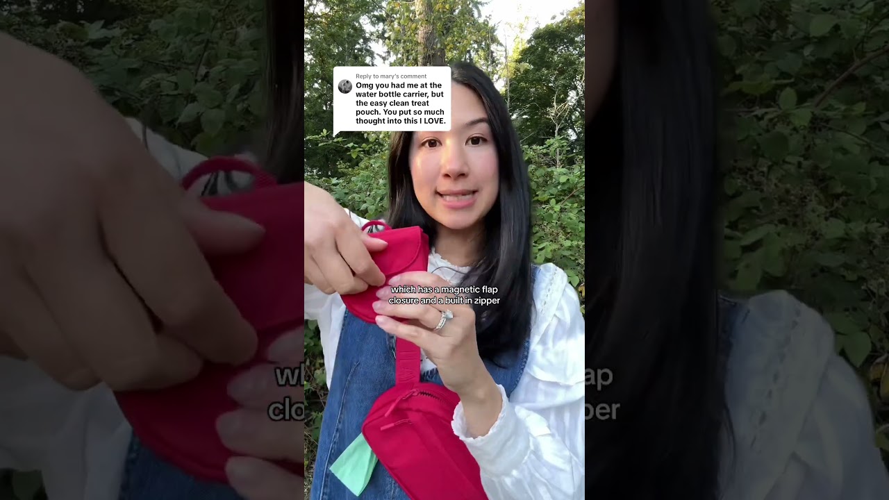 The best dog walking bag and treat pouch 