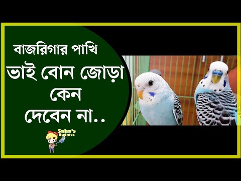 ভিডিও: অন্তঃপ্রজননের ফলে কি পলিড্যাক্টিলি হয়?