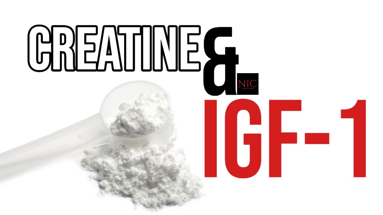 EX-e: Does Creatine raise Insulin-like Growth Factor (IGF) in Muscle
