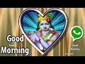 Good Morning WhatsApp Status Video | God Krishana Good Morning WhatsApp ...