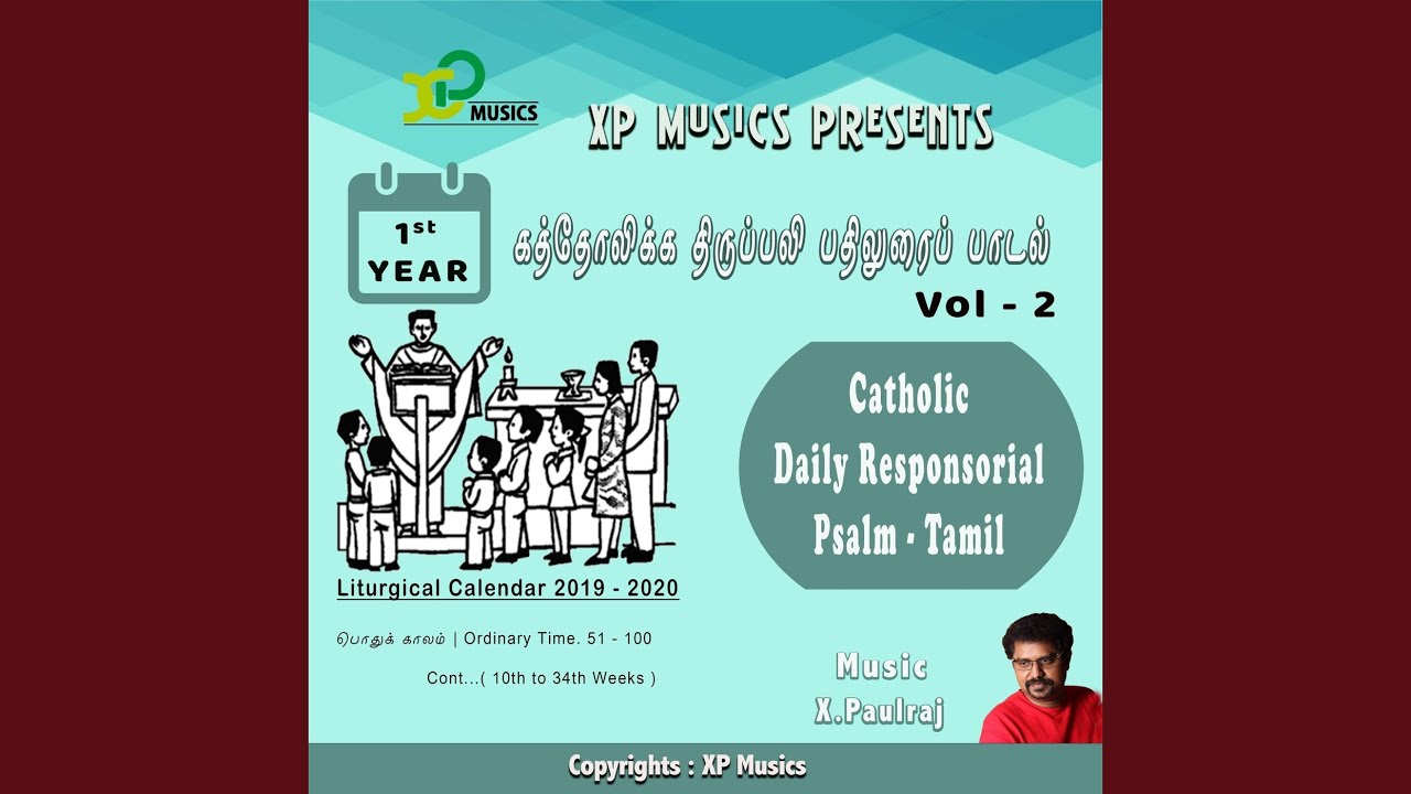 27th Sunday In Ordinary Time (1st Year)