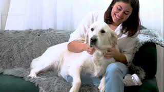 Paw Brands PupProtector 60"x50" Waterproof Pet Blanket on QVC screenshot 4