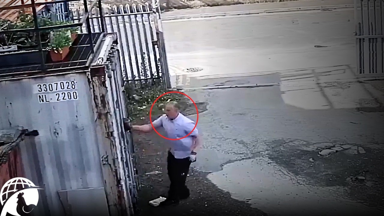 The Most EVIL Humans Ever Caught on Camera [Vol. 2]