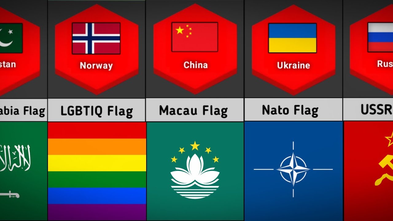 Most Loving Flag From Different Countries | Most Loving Flag From Each Country | Comparison Video