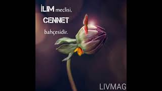 İli̇m Meclisi Cennet Bahçesidir - Di̇ni̇ Vi̇deolar - Di̇ni̇ Sözler Kısa Dini Videoları