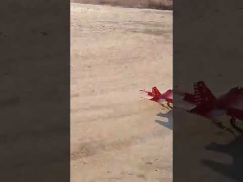 FMS YAK130 landing