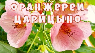 Красивые цветы🌸Парк Царицыно Оранжереи🌸Видео 4К👍🏻