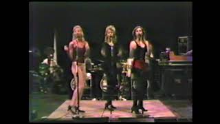 Download Lagu The Coconuts Rehearse Stoolpigeon 1983 MP3