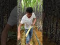 VillagersTakeALongTrip#2026Kuaisho