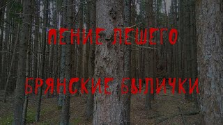 🌲 Брянская лесная жуть | Лешие | В. Д. Глебов | Брянские былички | 131-140