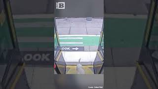 Indecisive Goats Board Bus, Then Decide to Leave