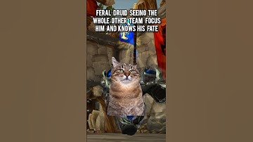 Pvo as a feral druid #wow #worldofwarcraft #warcraft