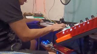 Exploring the EHX Mod Rex Pedal
