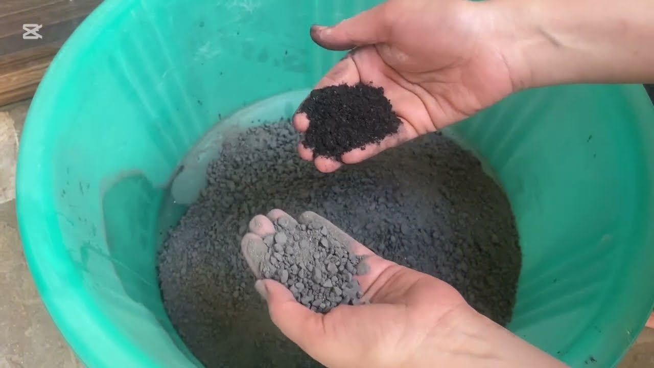 Part 2 Renew Texture + Shapes Making 