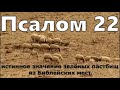 Псалом 22-Зелёные Пастбища-Истинное значение