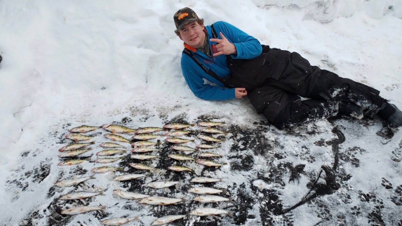 Lake Superior Perch Fishing Pt 1 YouTube