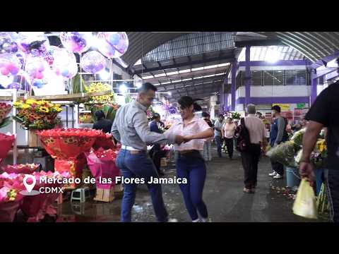 Alcalde la Sonora - Que Bonito Bailas (Video Baile Oficial)