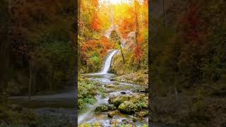 Sifar New Song Out Now Check It viral  haveitoldyoulatelythatiloveyou leo moon