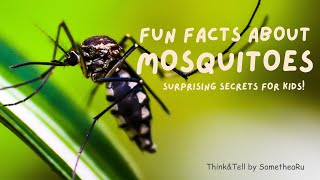 Fun Facts About Mosquitoes 🦟 | Surprising Secrets for Kids!"